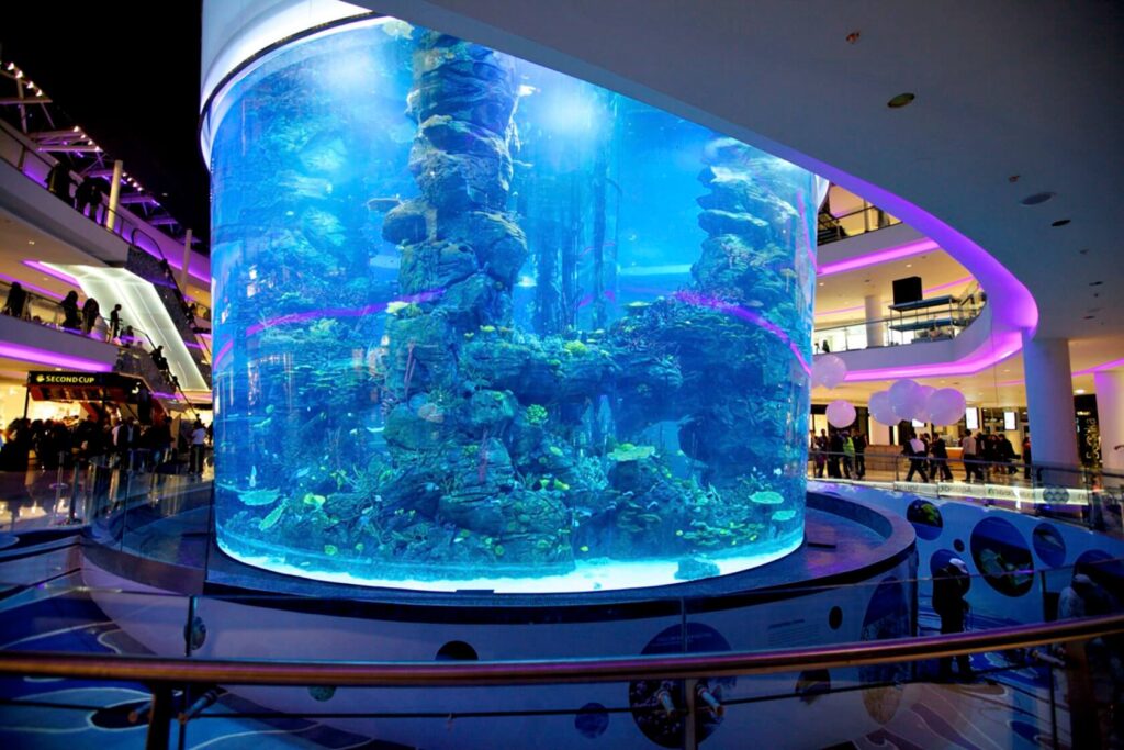 Aquarium Morocco Mall Casablanca